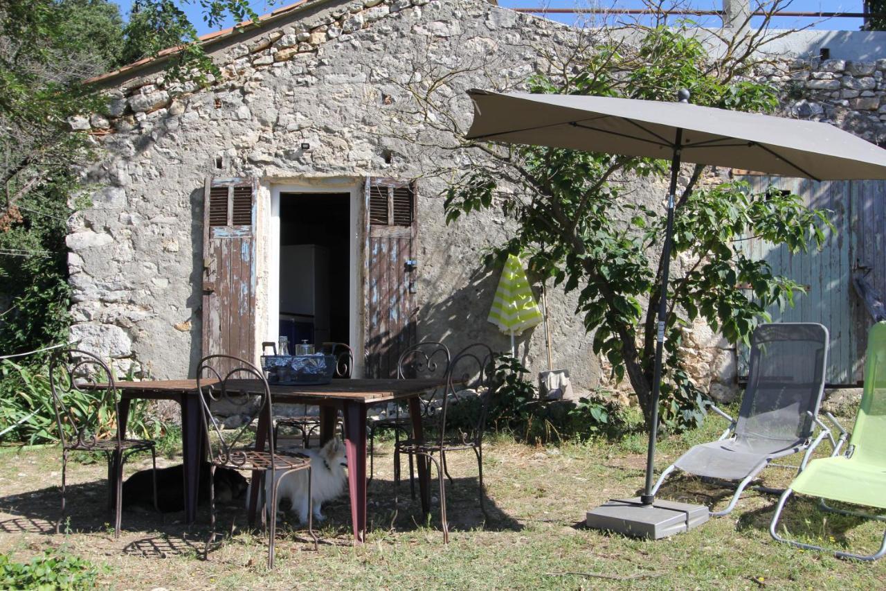 Studio Gard Calme Et Nature Russan Eksteriør bilde