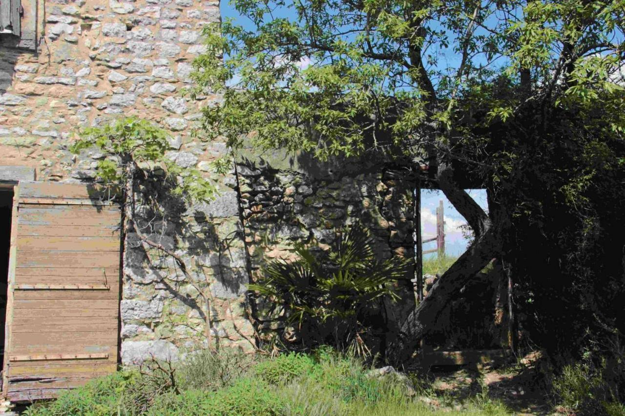 Studio Gard Calme Et Nature Russan Eksteriør bilde