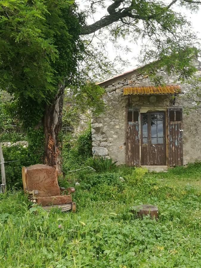Studio Gard Calme Et Nature Russan Eksteriør bilde