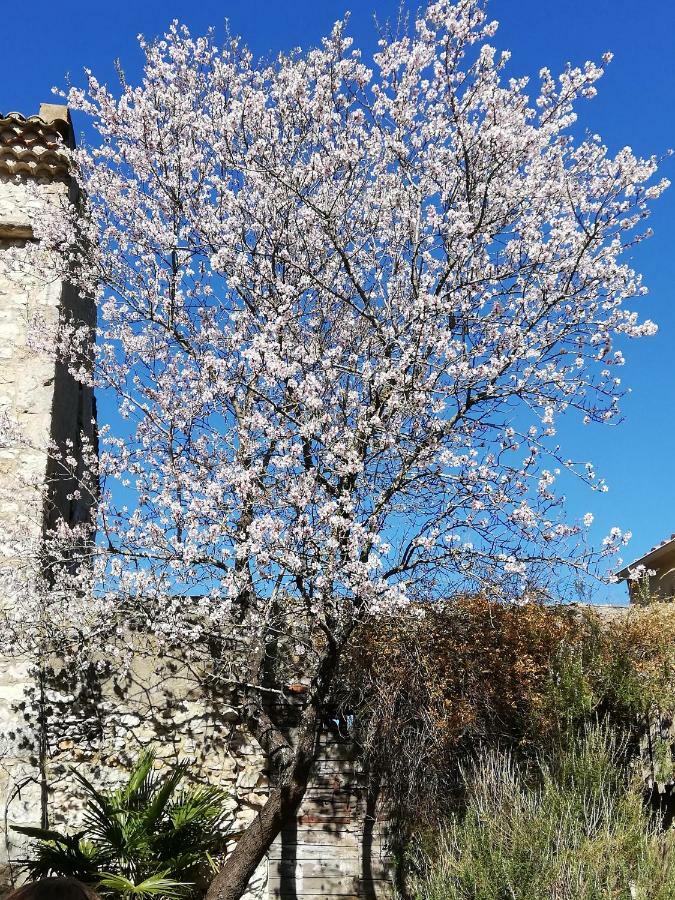 Studio Gard Calme Et Nature Russan Eksteriør bilde
