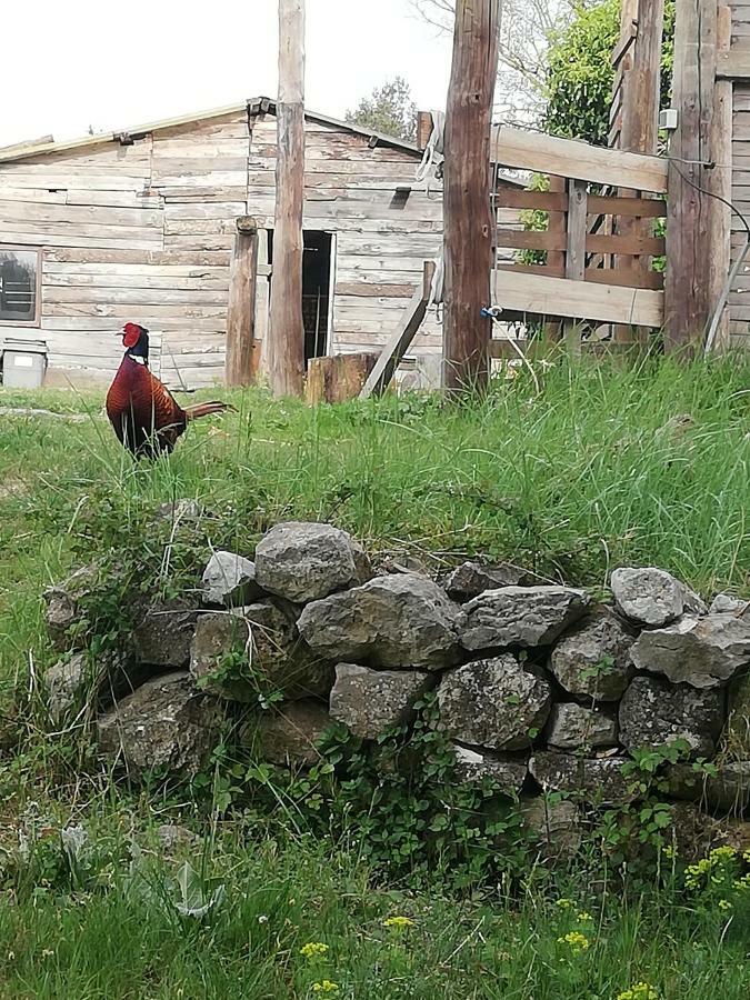 Studio Gard Calme Et Nature Russan Eksteriør bilde